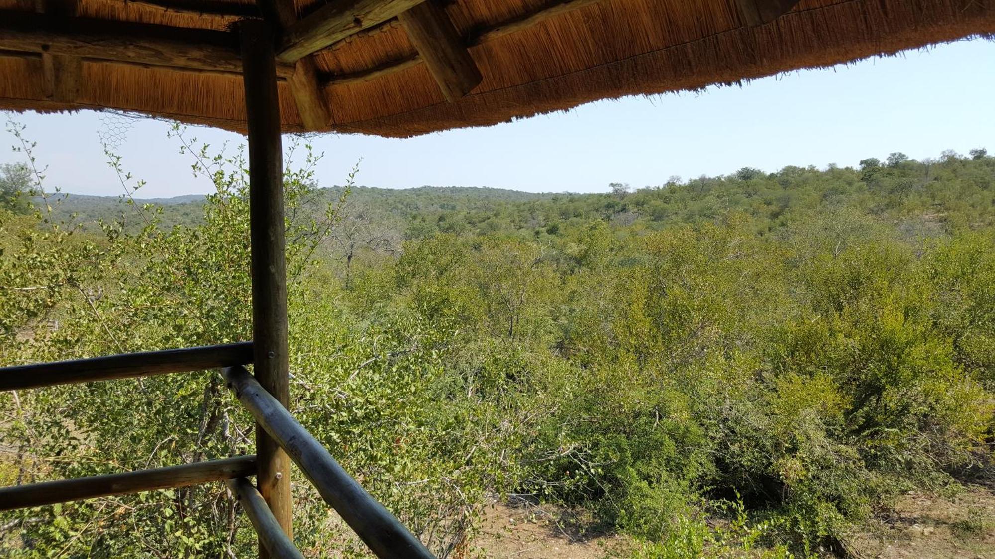 Muweti Bush Lodge Grietjie Game Reserve Quarto foto