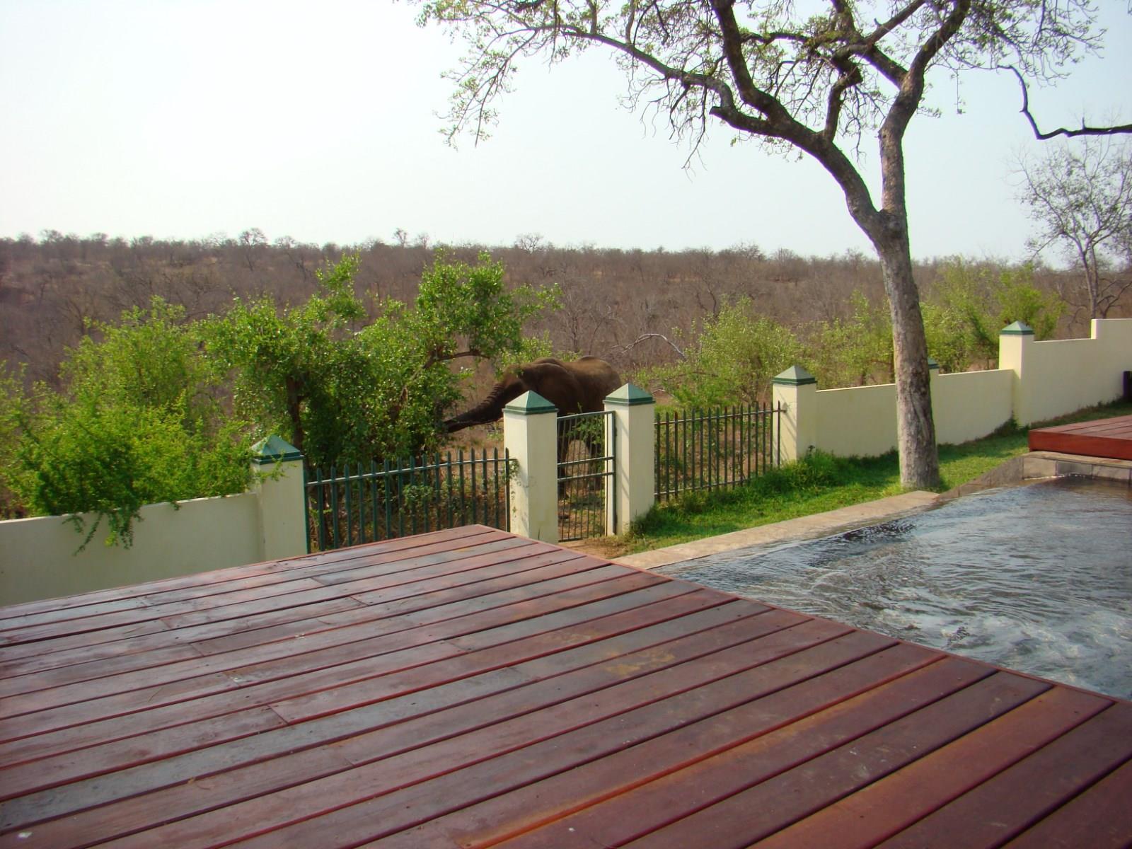 Muweti Bush Lodge Grietjie Game Reserve Exterior foto